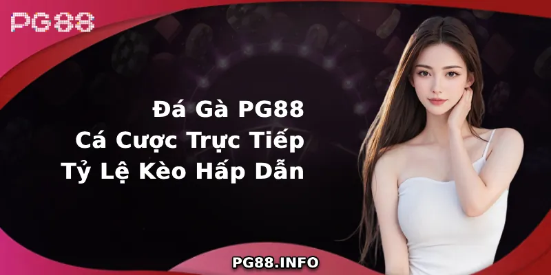 Sân chơi Đá Gà PG88 đẳng cấp